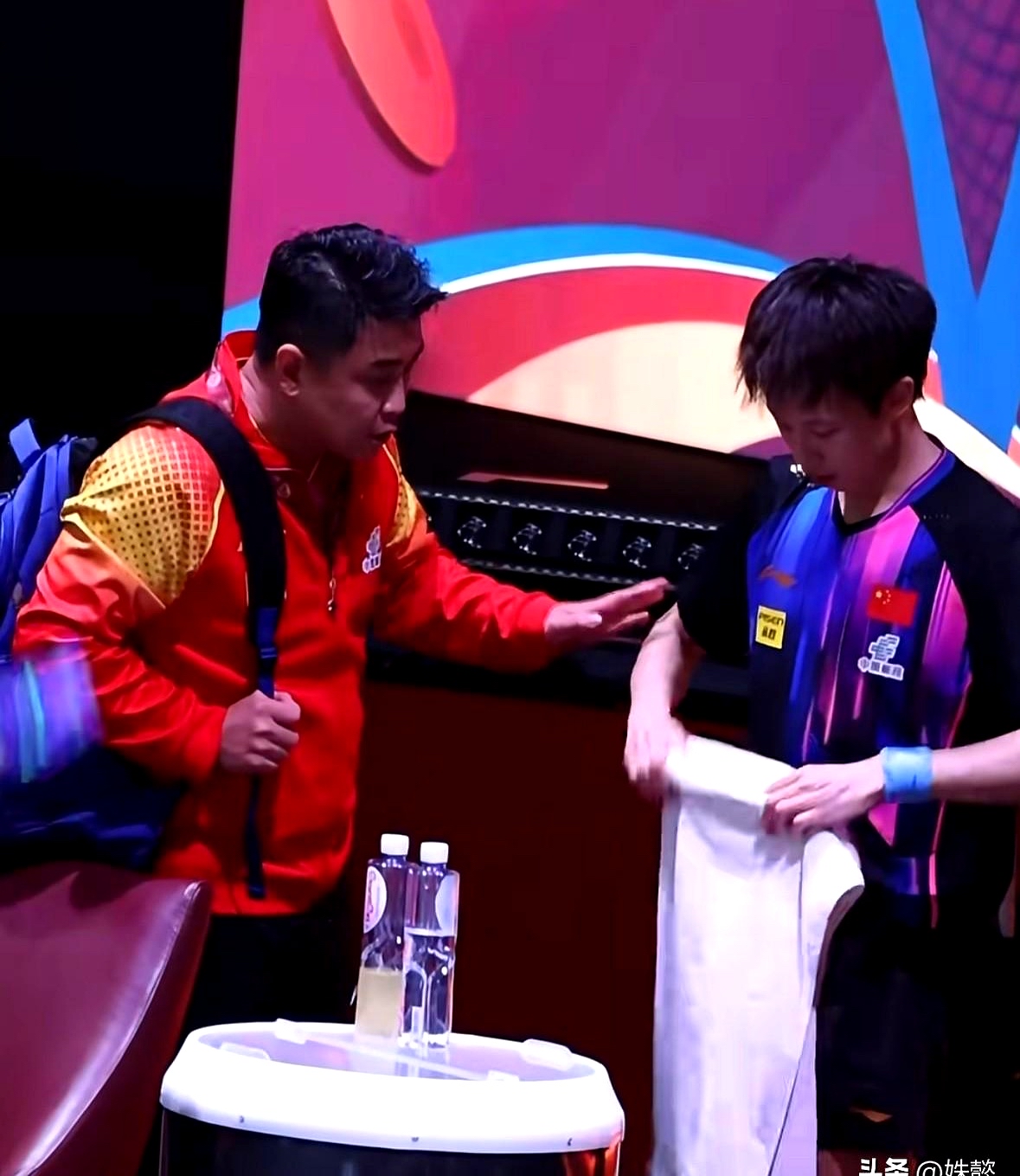 日本乒乓球队绝杀瑞典乒乓球队，王皓送出助攻的简单介绍