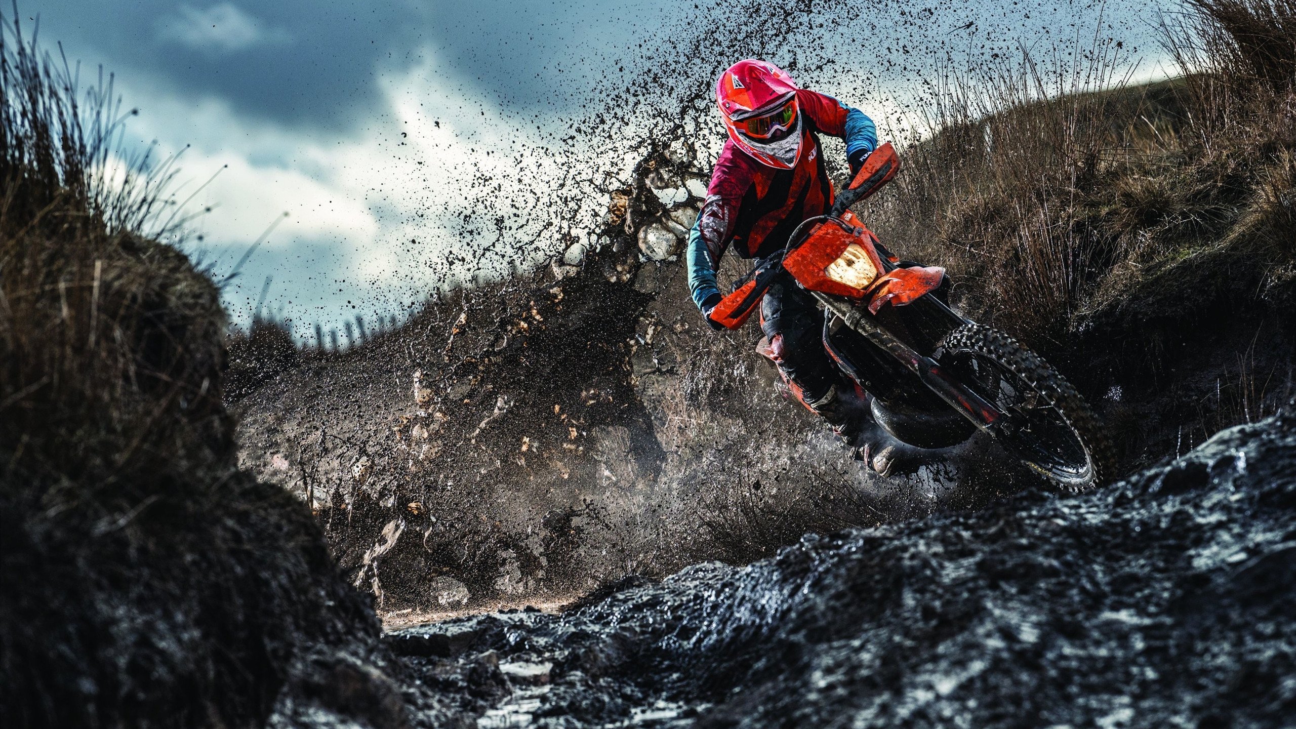 老鹰展翅强势晋级，武切维奇关键先生本色尽显