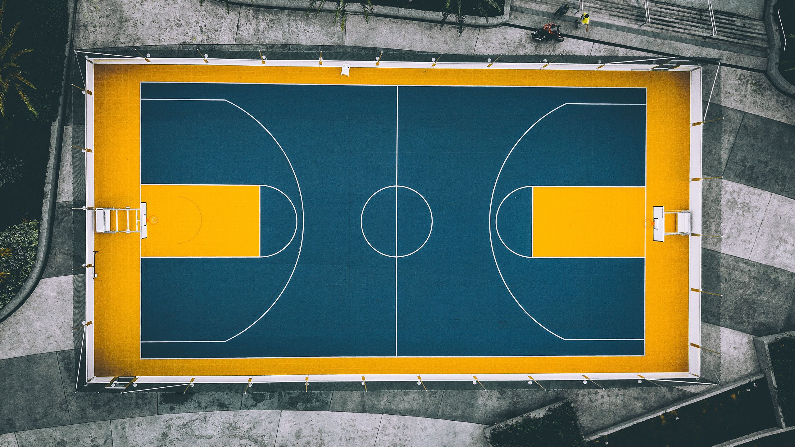 唯一之战,2026世界杯的星辰交汇—穆西亚拉如何定义塞尔维亚与葡萄牙的宿命对决
